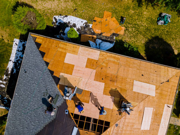 Best Local Roofing Companies  in Lathrop, MO